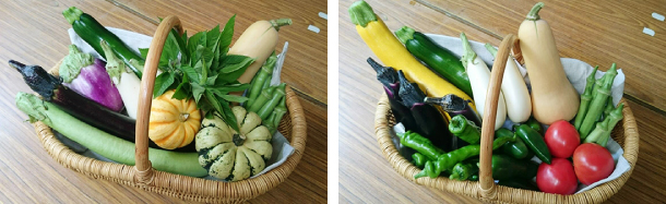 おまかせセット